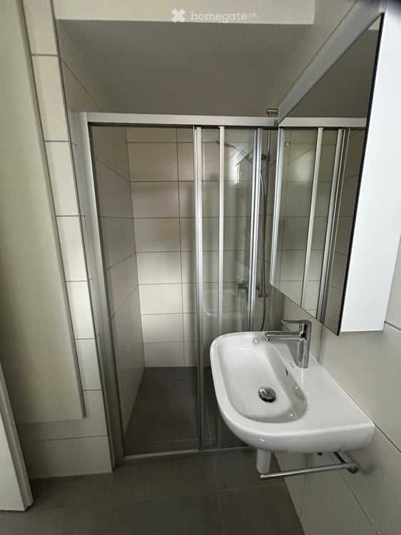 Appartement 3 pièces à louer à Serrières 4
