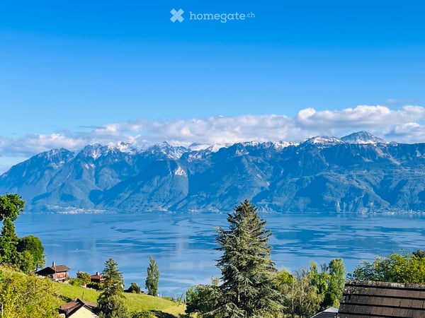 Magnifique maison avec superbe vue lac à Grandvaux 1