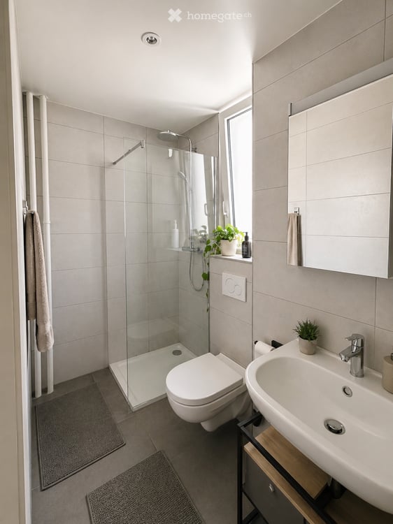 Reprise de bail appartement 2,5 pièces 4