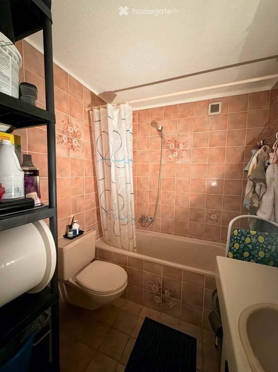 Appartement spacieux a Coppet 1
