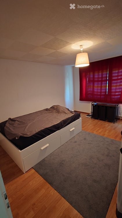 1er étage avec grand balcon 3