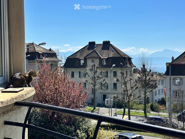Wonderful apartment available for rent (Lausanne, Vidy) 1