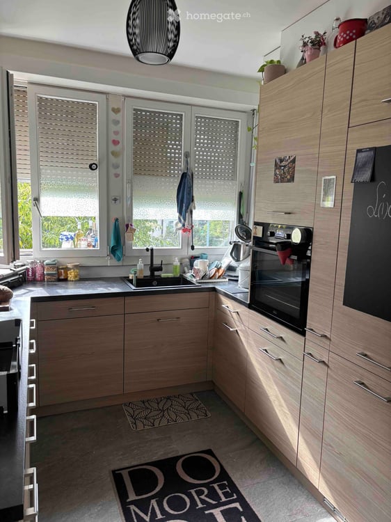 Wonderful apartment available for rent (Lausanne, Vidy) 4