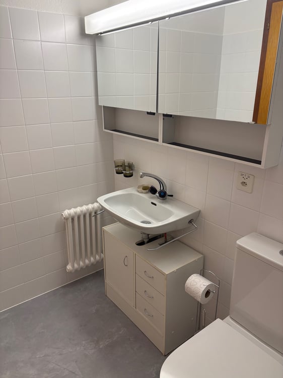 Location à lannée - studio rénové surface habitable de 30m2 3