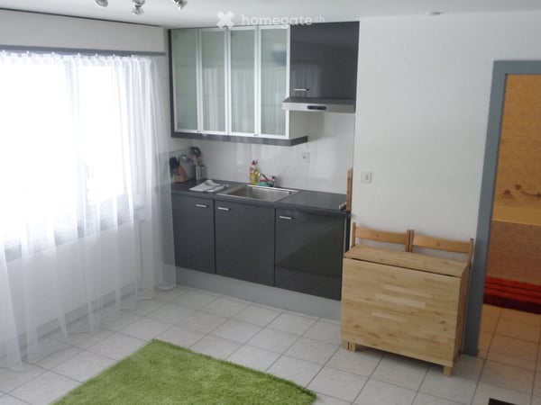 Superbe appartement rénové au cur de la station 3
