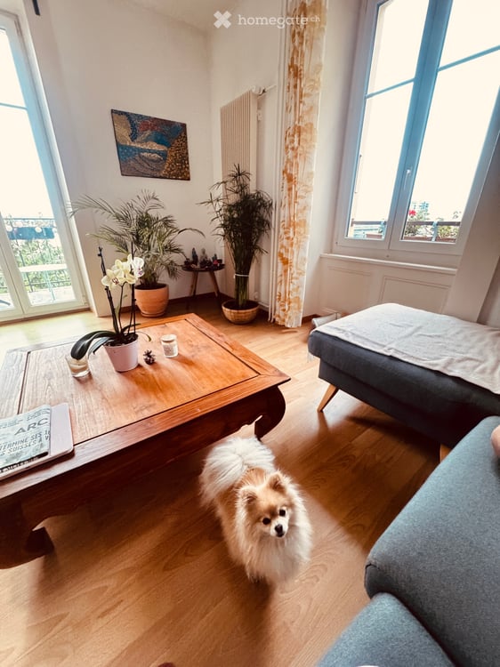 Chambre à louer Appartement 3 pièces avec vue sur le lac 1