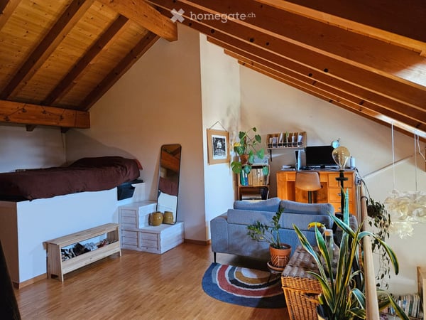 2 pièces en duplex avec vue lac 4