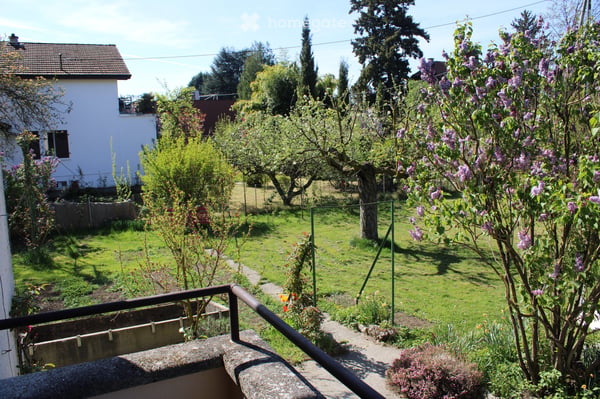 Appatement dans villa (jusqu'a fin juin 2027) 5