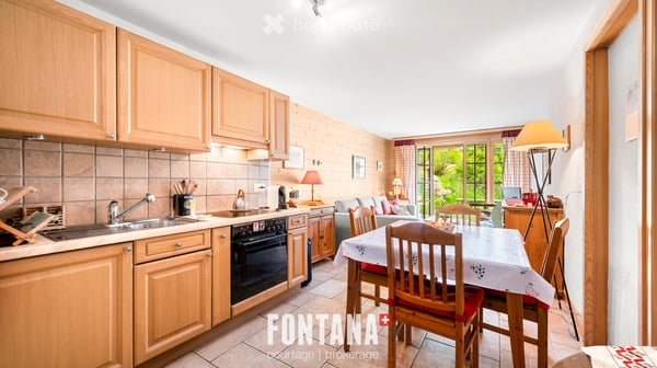 Appartement d'une pièce meublé avec terrasse aux Diablerets 1