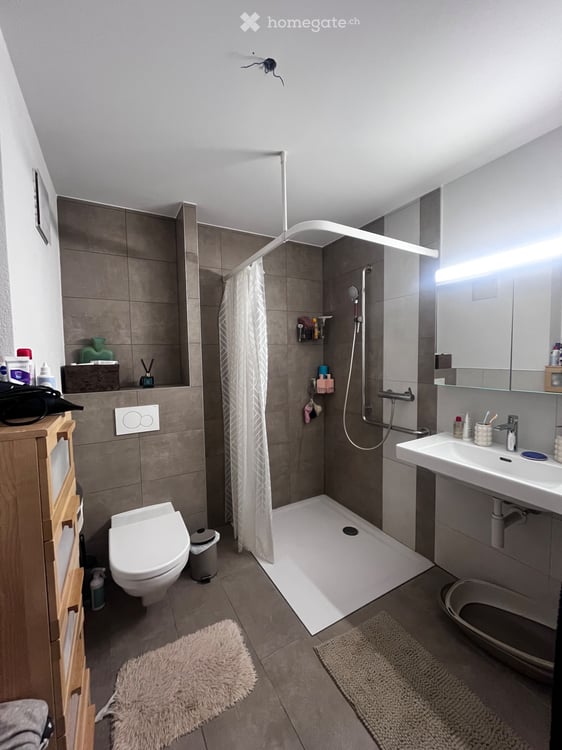 Appartement 1,5 pièce 3