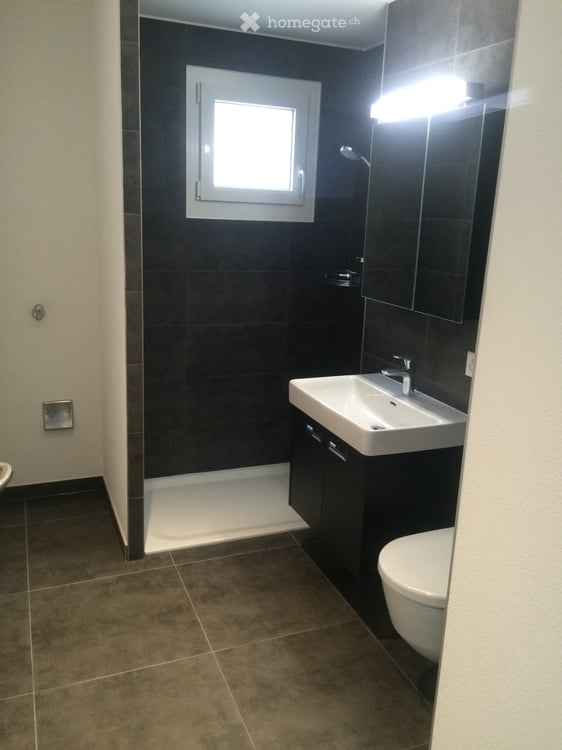 Bel appartement de 2.5 pièces avec grande terrasse à Vuisse 4
