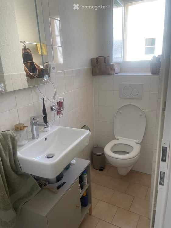 Appartement 1,5 pc vue imprenable centre Vevey 4