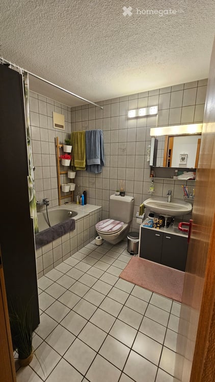 Wohnung 2Zi + 2 Garagen zu vermieten 2