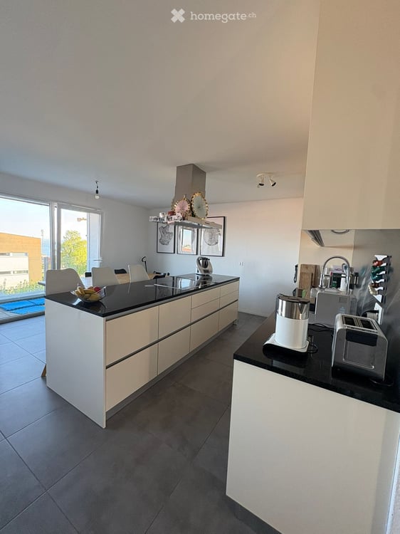 Magnifique duplex de 4,5 pcs avec terrasse et vue sur le lac 4