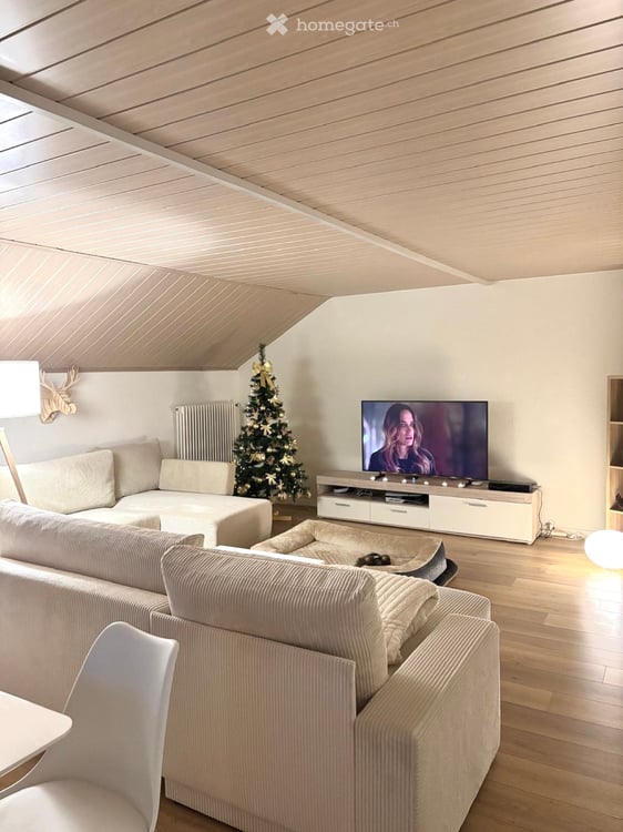 Appartement duplex 4,5 pièce 1