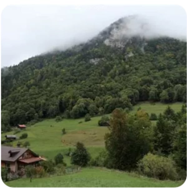 Cherche Location Les Plans 1