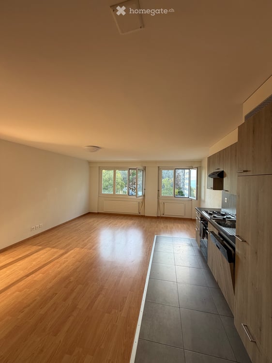 Reprise de bail : 2.5 pièces avec balcon et vue sur le lac 3