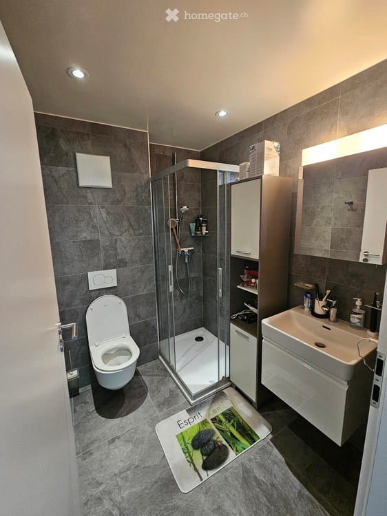 Charmant appartement récent de 2.5 pièces à Vionnaz 2