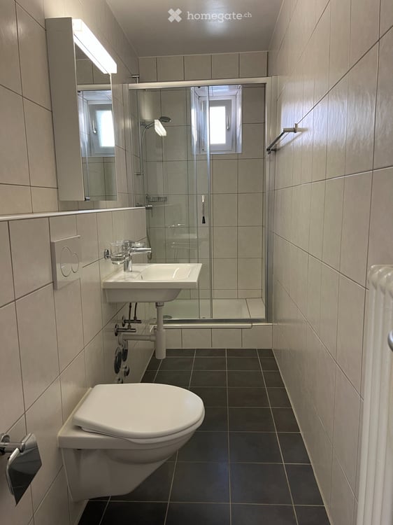 Appartement ensoleillé rénové 3 pièces 3