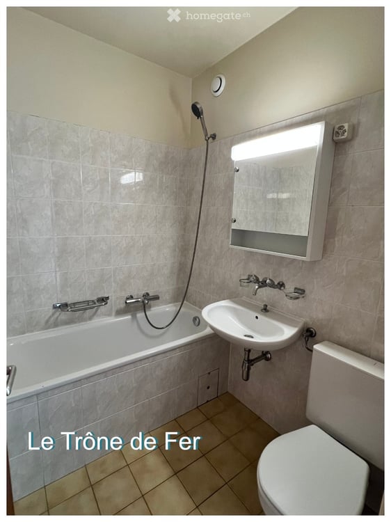 Studio meublé à Onex 3