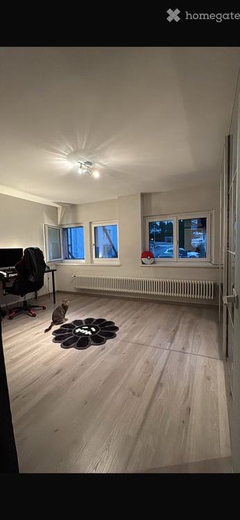 À louer Appartement 1,5 pièces 5