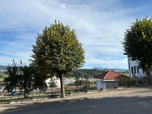 Appartement de 2 pièces sur deux niveaux 5