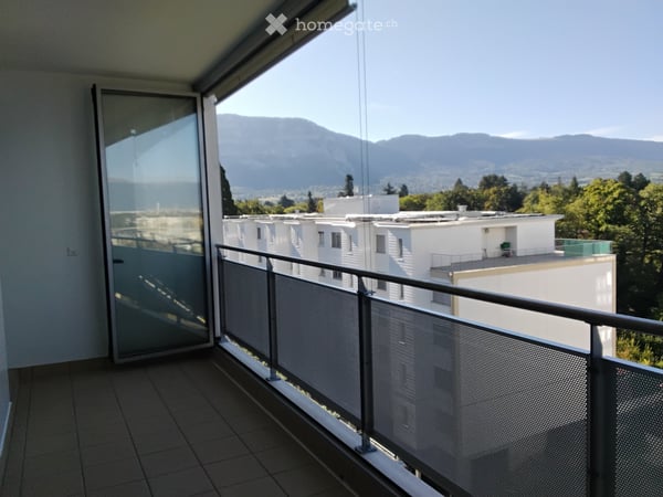Appartement 4 pièces traversant avec balcons - Carouge 1