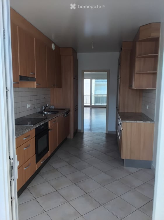 Appartement 4 pièces traversant avec balcons - Carouge 4