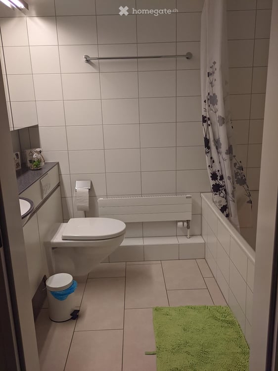 Lumineux appartement 3 pièces à louer dès le 15.10.26 4