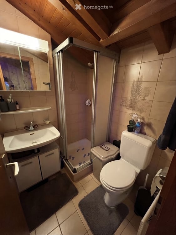 Charmant studio cosy à louer  Fully / Mazembroz 5