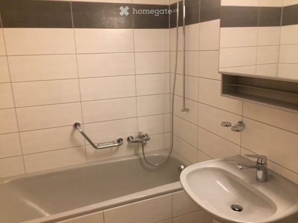 Grand appartement lumineux proche de toutes commodités 4