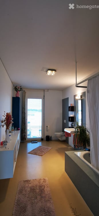 Grosszügige 2.5 Zimmer-Loftwohnung 4