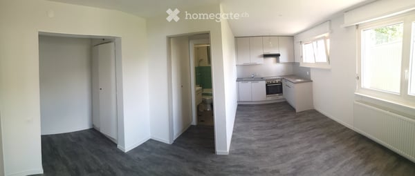 Charmant appartement de 1.5 pièces, accès au jardin, à NE 4