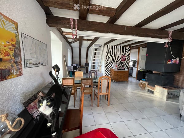 Duplex spacieux et plein de charme 1