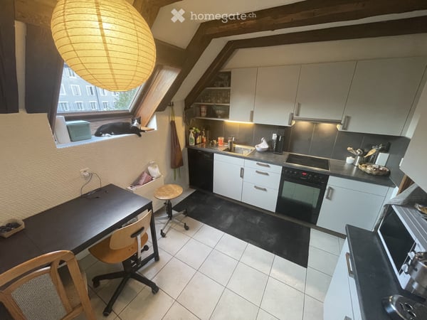 Duplex spacieux et plein de charme 5