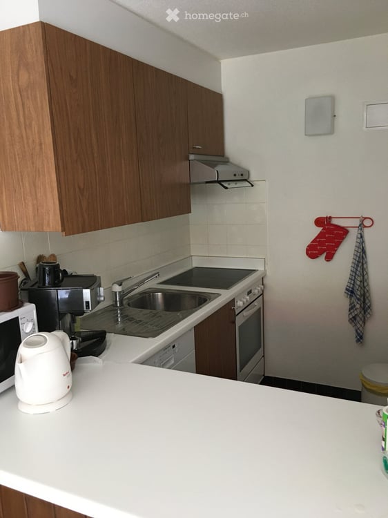 Chaleureux 2,5 pièces meublé et équipé (incl. place de parc) 3