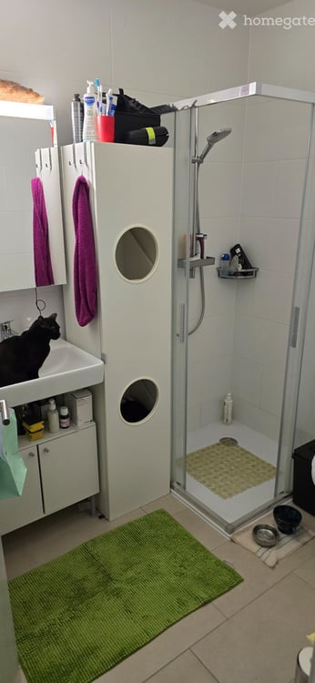Appartement 3.5 Bramois 5
