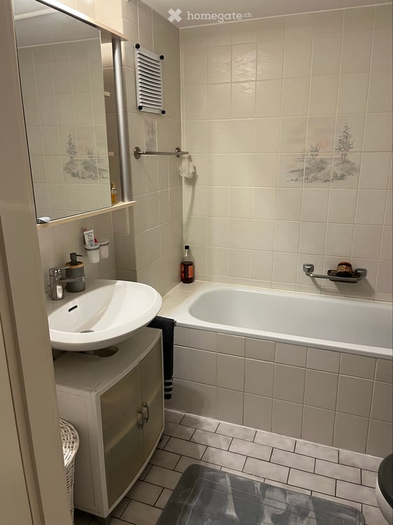 A louer bel appartement mansardé de 3.5 pièces traversant 5