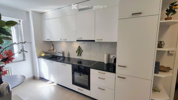 Appartement meublé de 2,5 pièces avec terrasse  Fribourg 3