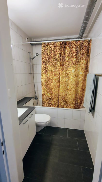 Appartement meublé de 2,5 pièces avec terrasse  Fribourg 5