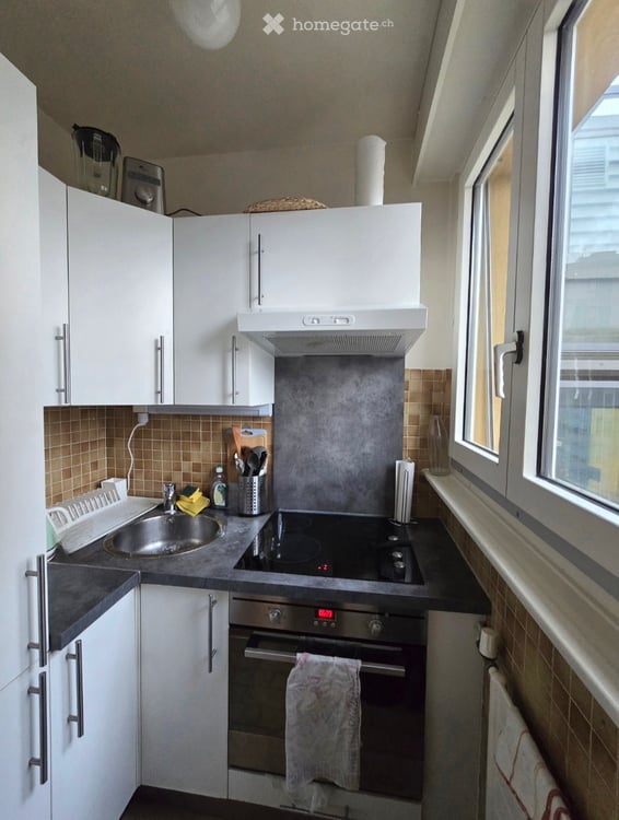 Location appartement eaux vives 5min à pied du lac 3