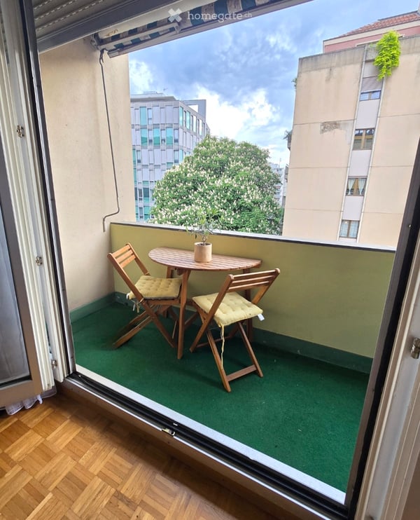 Location appartement eaux vives 5min à pied du lac 1