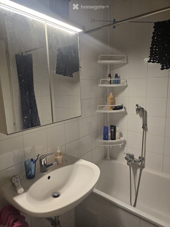 Studio lumineux de 27 m² au centre de Genève 3