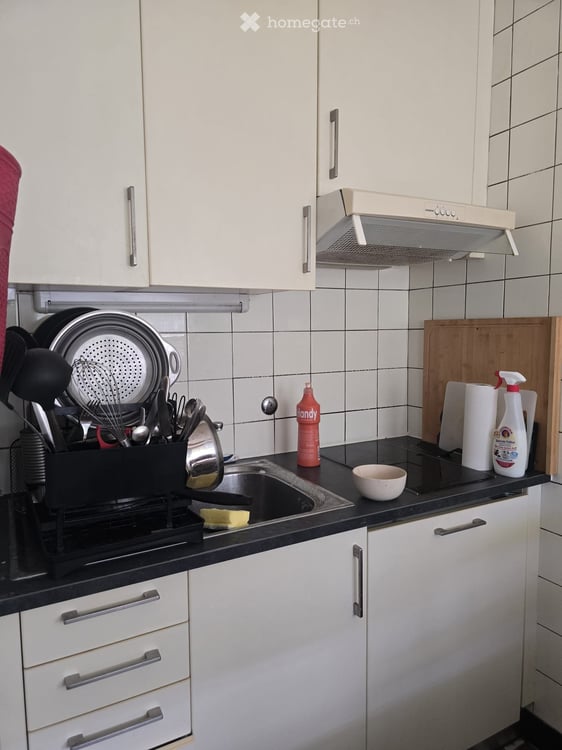Studio lumineux de 27 m² au centre de Genève 5