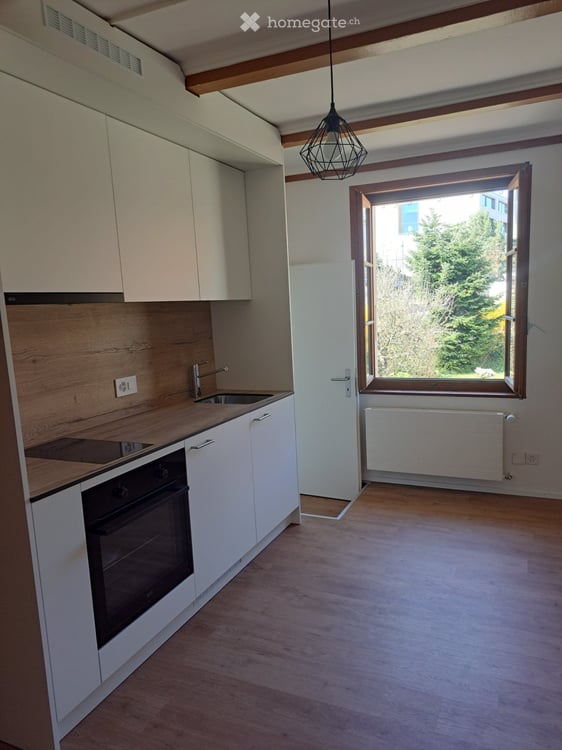 Magnifique appartement tout rénové au centre-ville