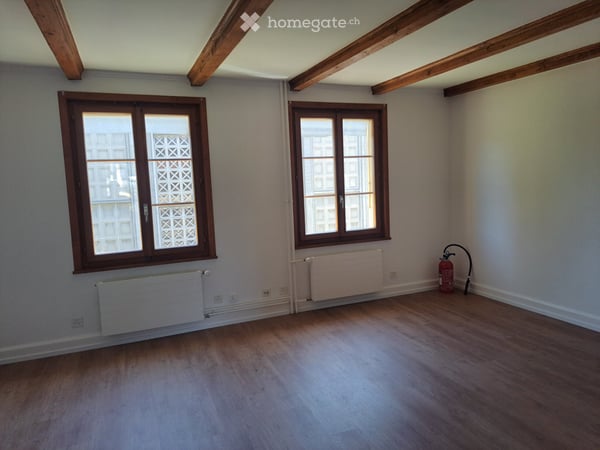 Magnifique appartement tout rénové au centre-ville 2