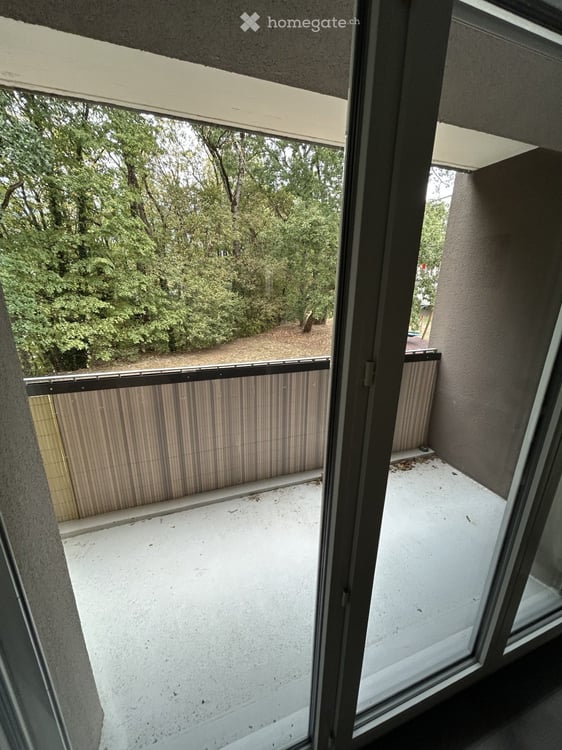 L'appartement : disponible 16.11.2026 3