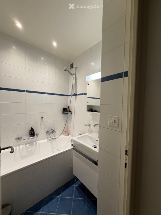 Apartment available for lease takeover in Geneva 3