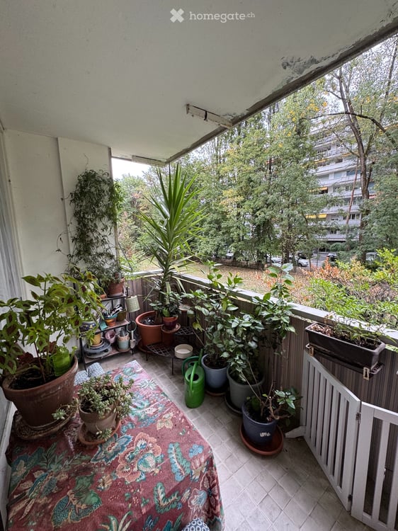 Appartement de 3 pièces à Champel 2
