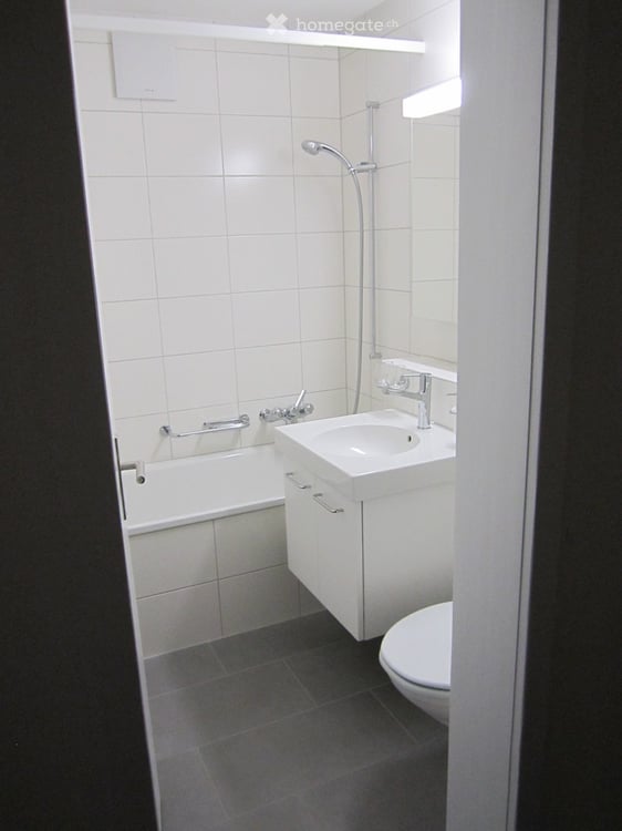 helle und sonnige 2.5-Zi-NR-Dach-Eckwohnung 4